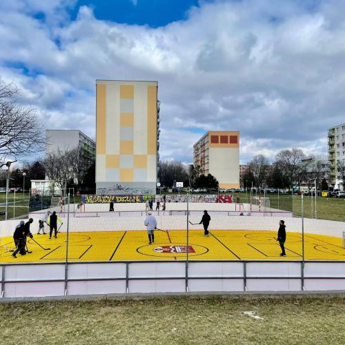 275116585-512935343733412-499999161392216166-n